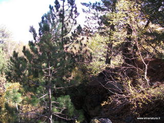 nte Corvo-01-11-2012 11-22-44